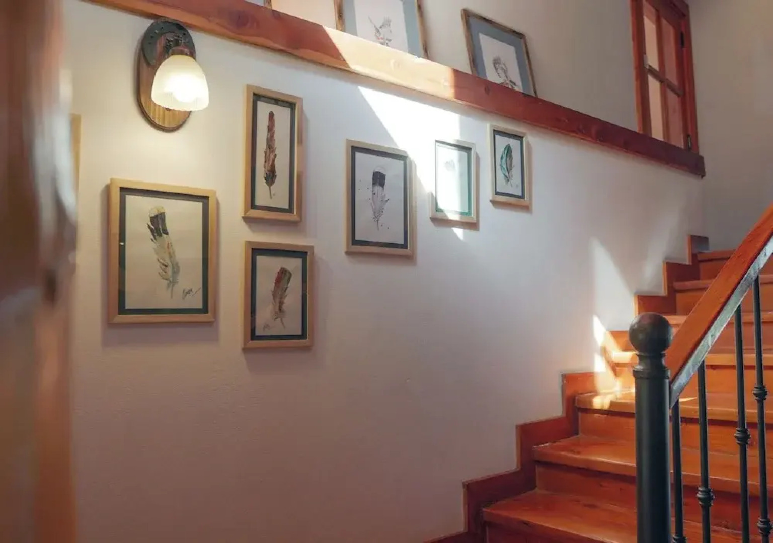 El Bosque by DOT Tradition