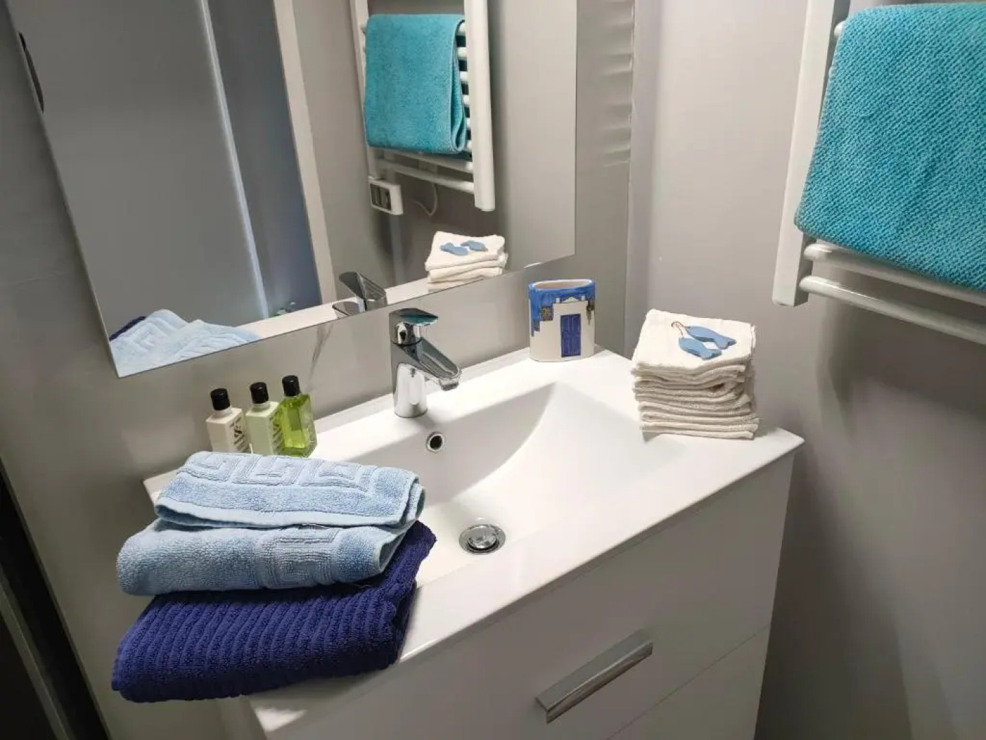 Appartement avec terrasse vue mer, proximité plage, place parking