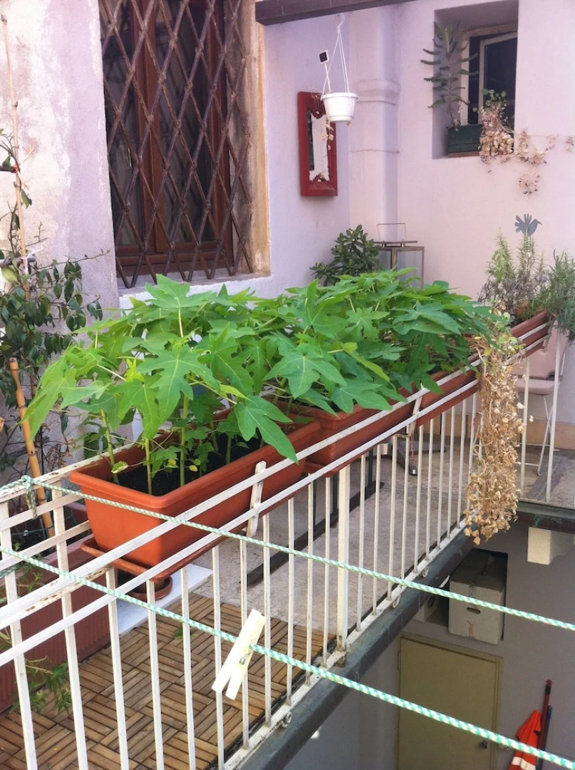 B&B Casapiu Piazza Erbe