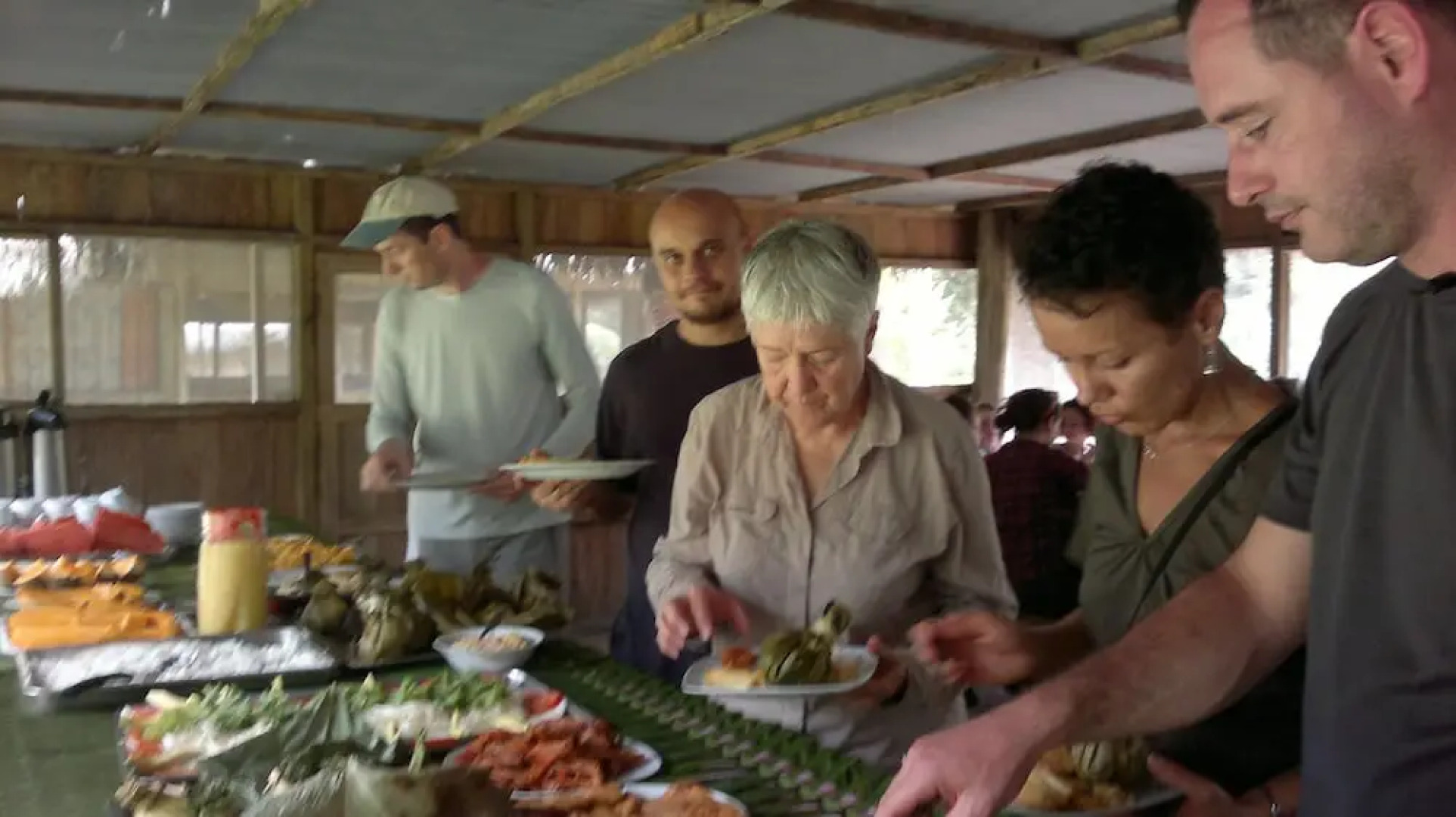 Jungle Wolf Expeditions