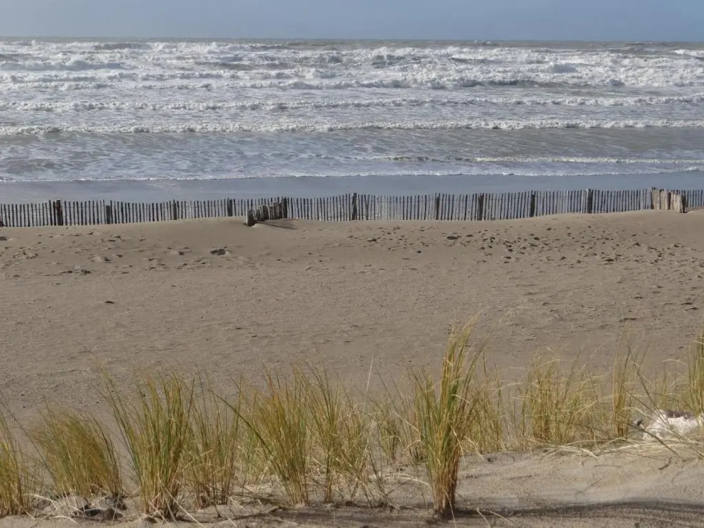 Villa Sérena la forêt et la plage à quelques minutes!
