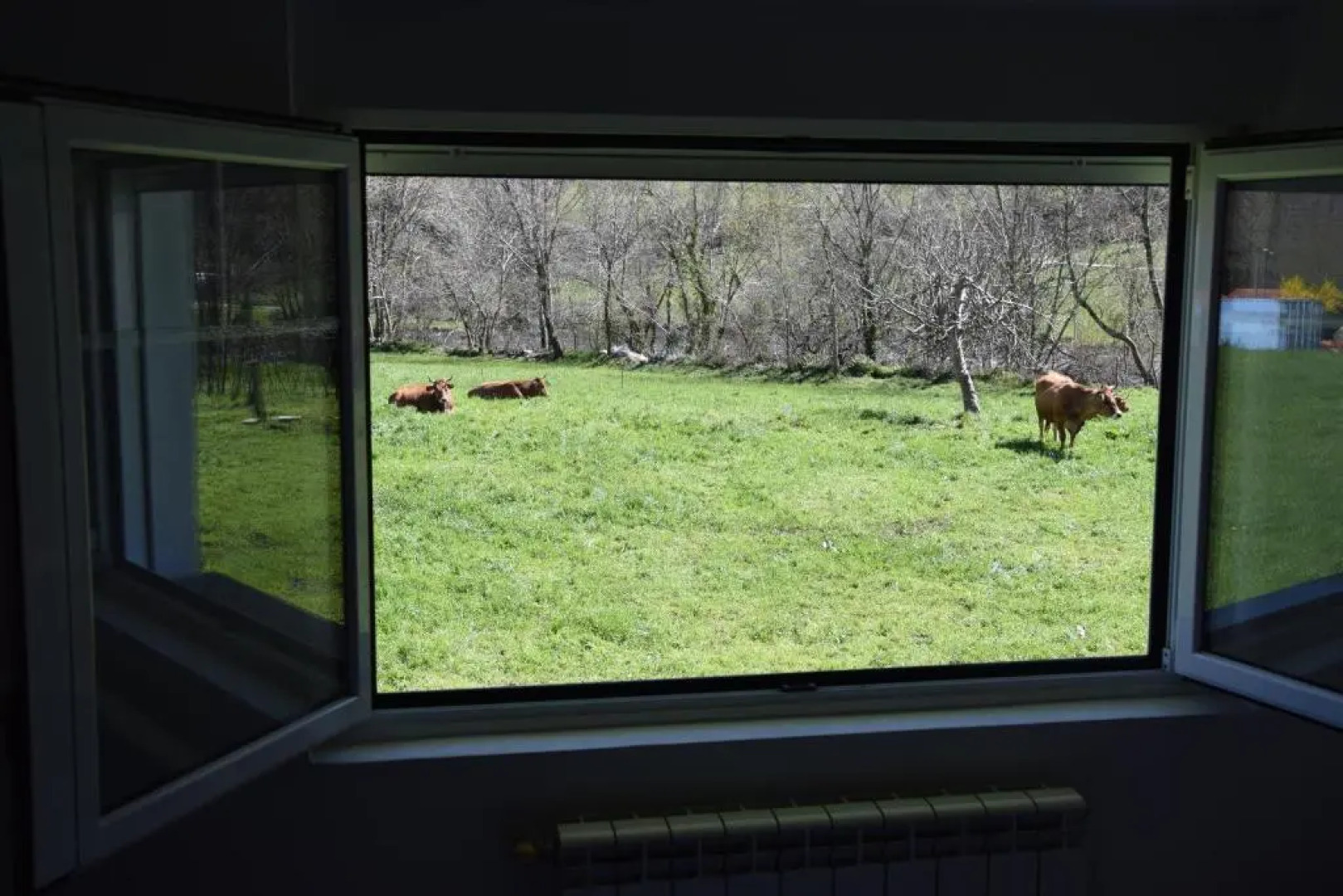 Apartamentos Arredondo