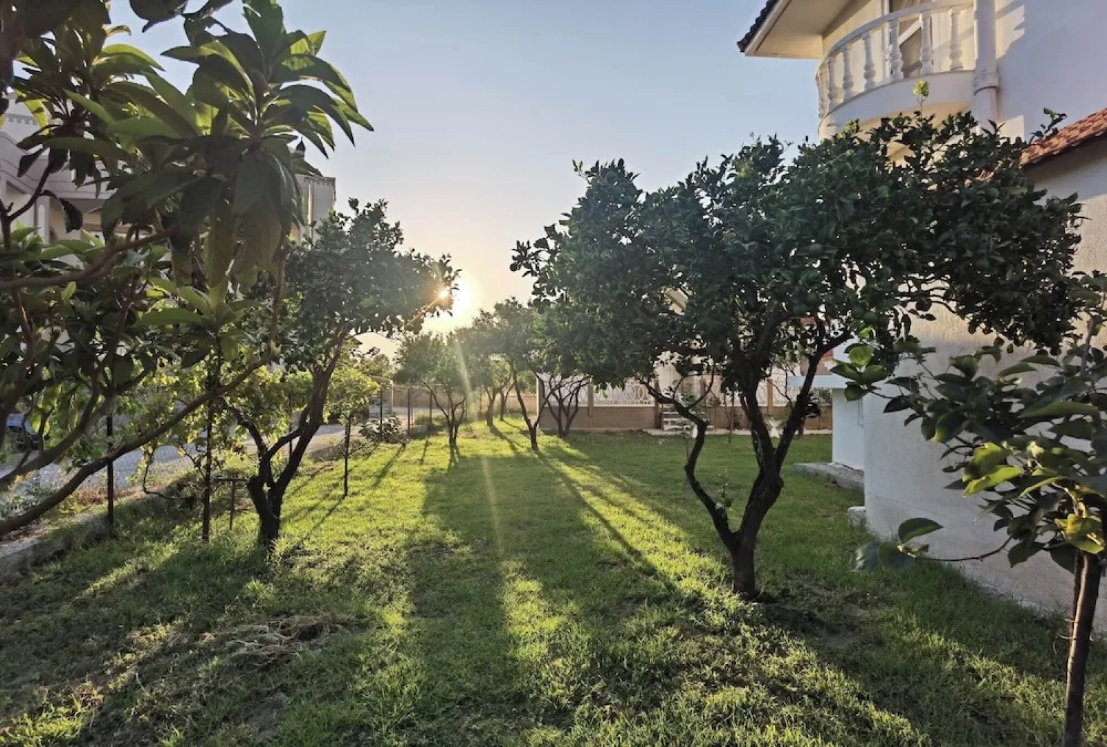 Freeman Greenlees Hellenic Garden House