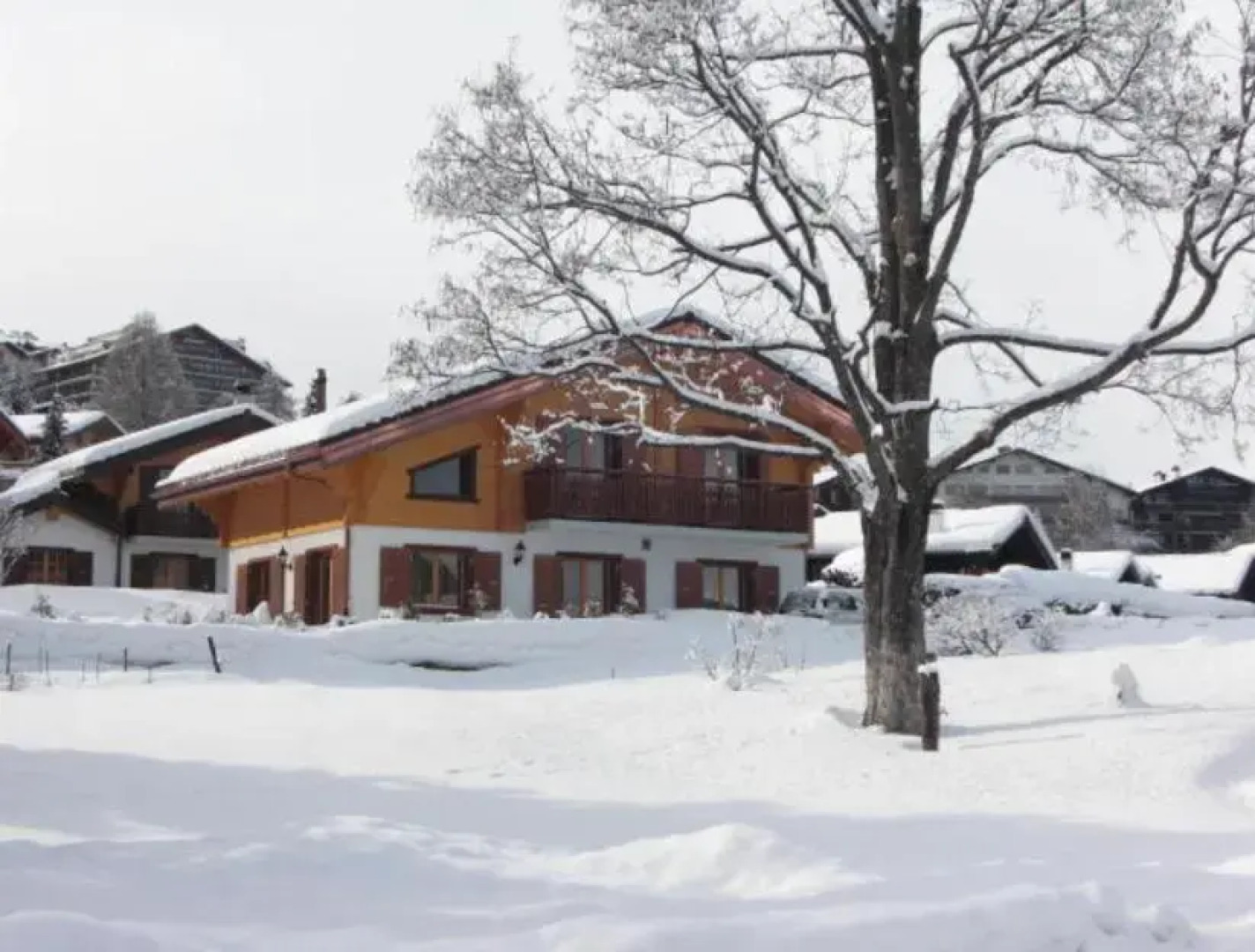 Chalet Griffon