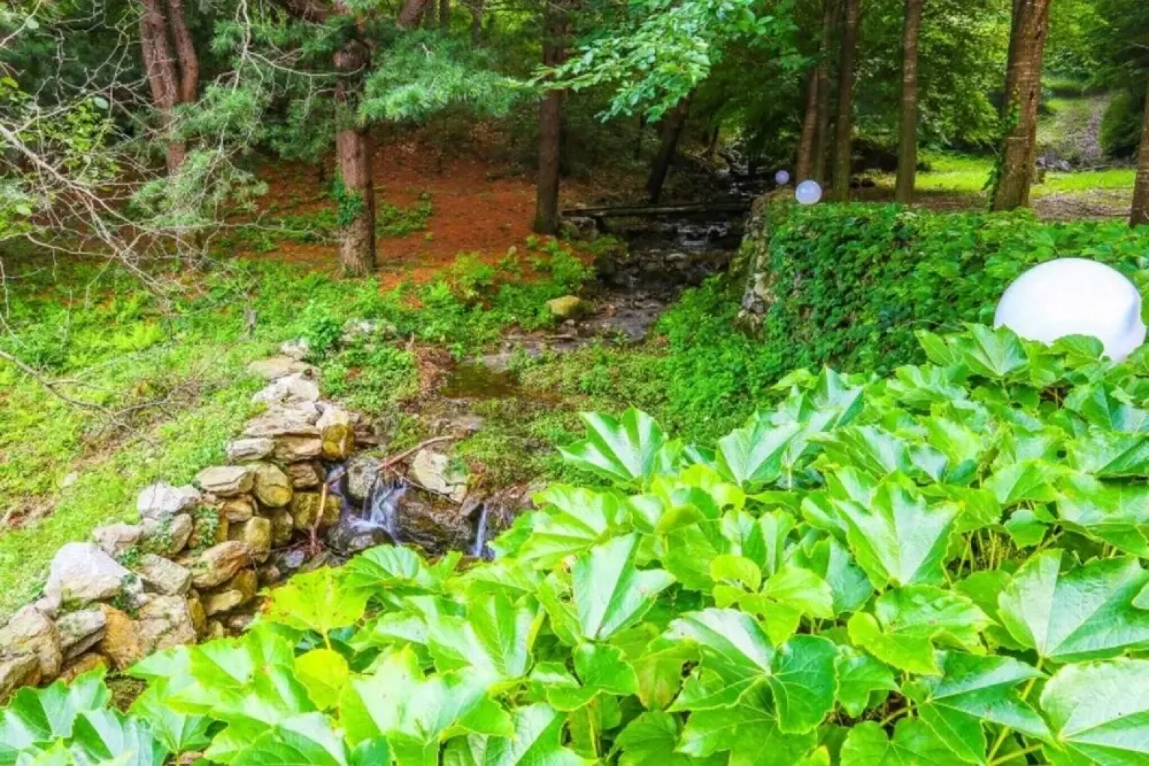 Yangpyeong Log Camp Pension