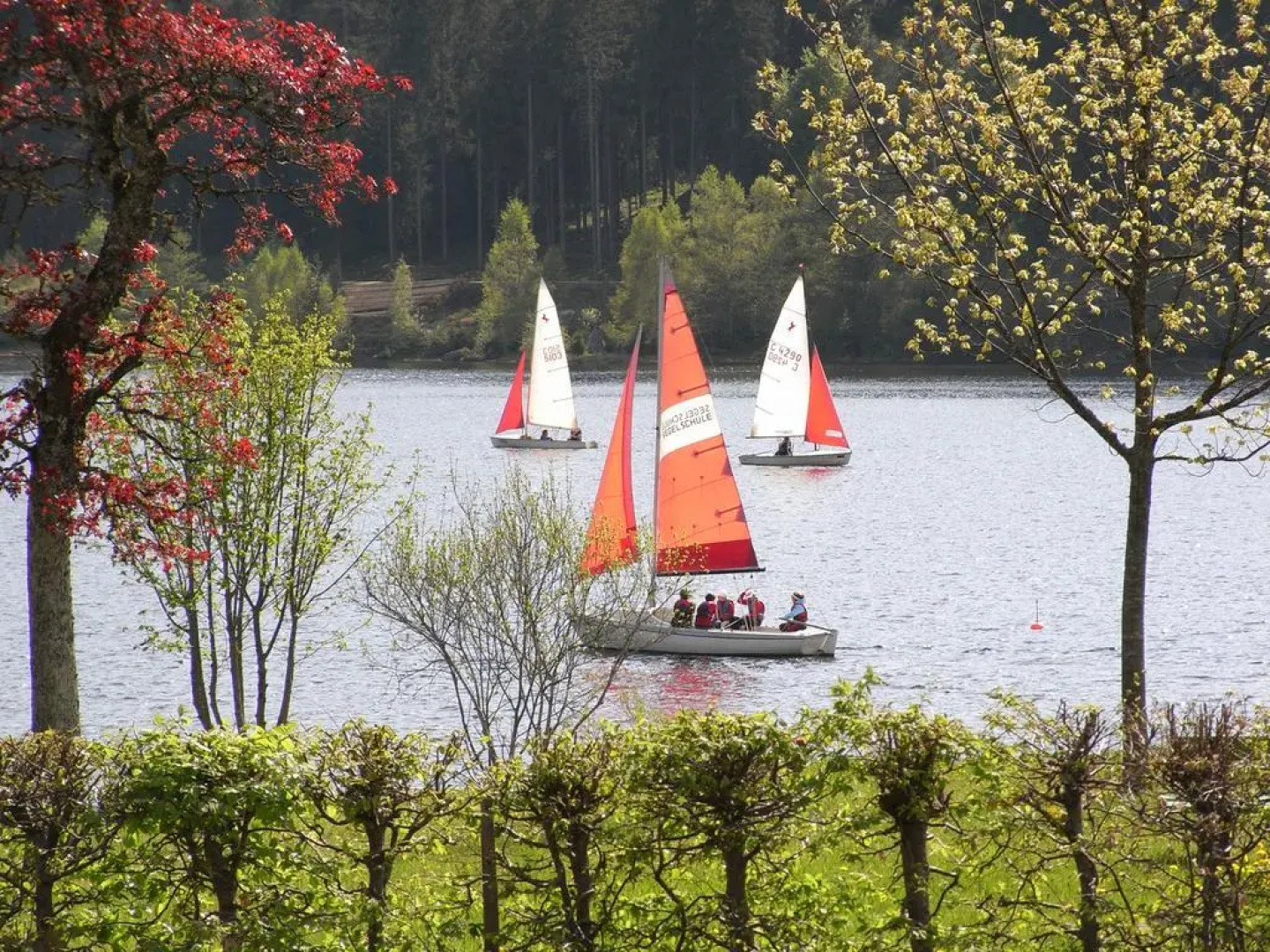 Auerhahn Wellnesshotel