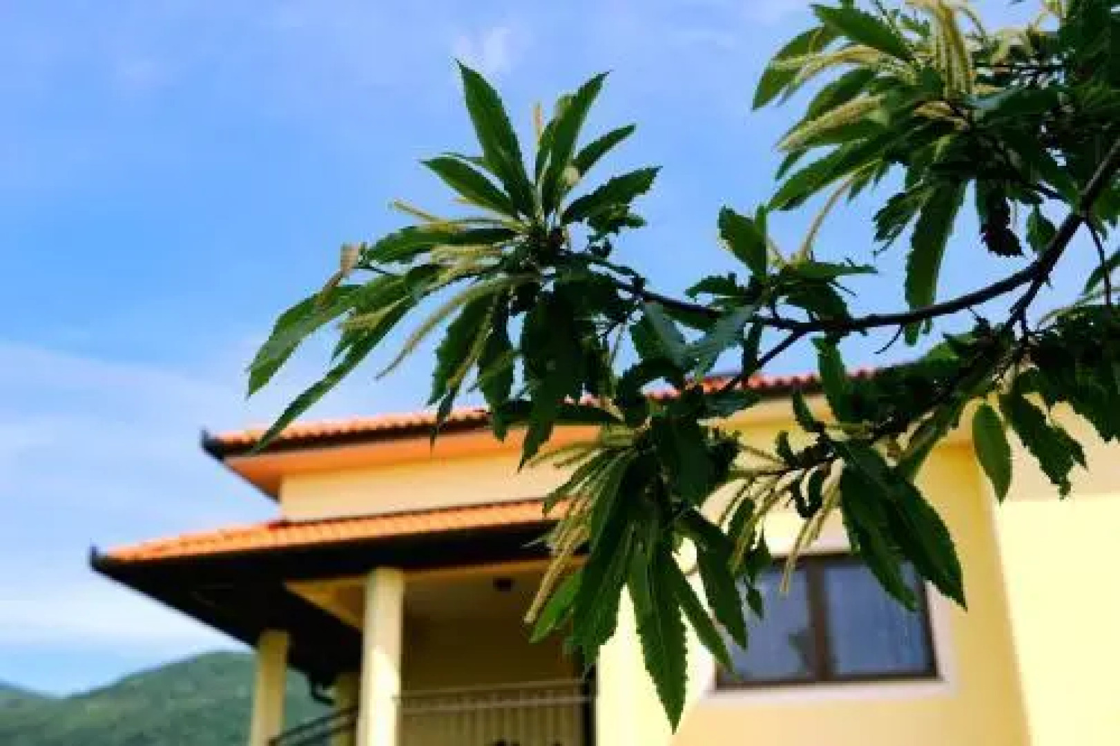 Apartment Kalina Hills