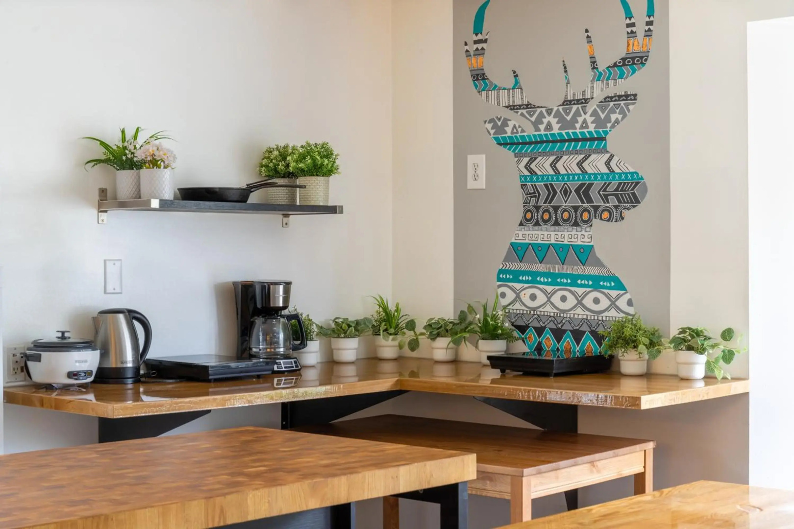 Samesun Banff - Hostel