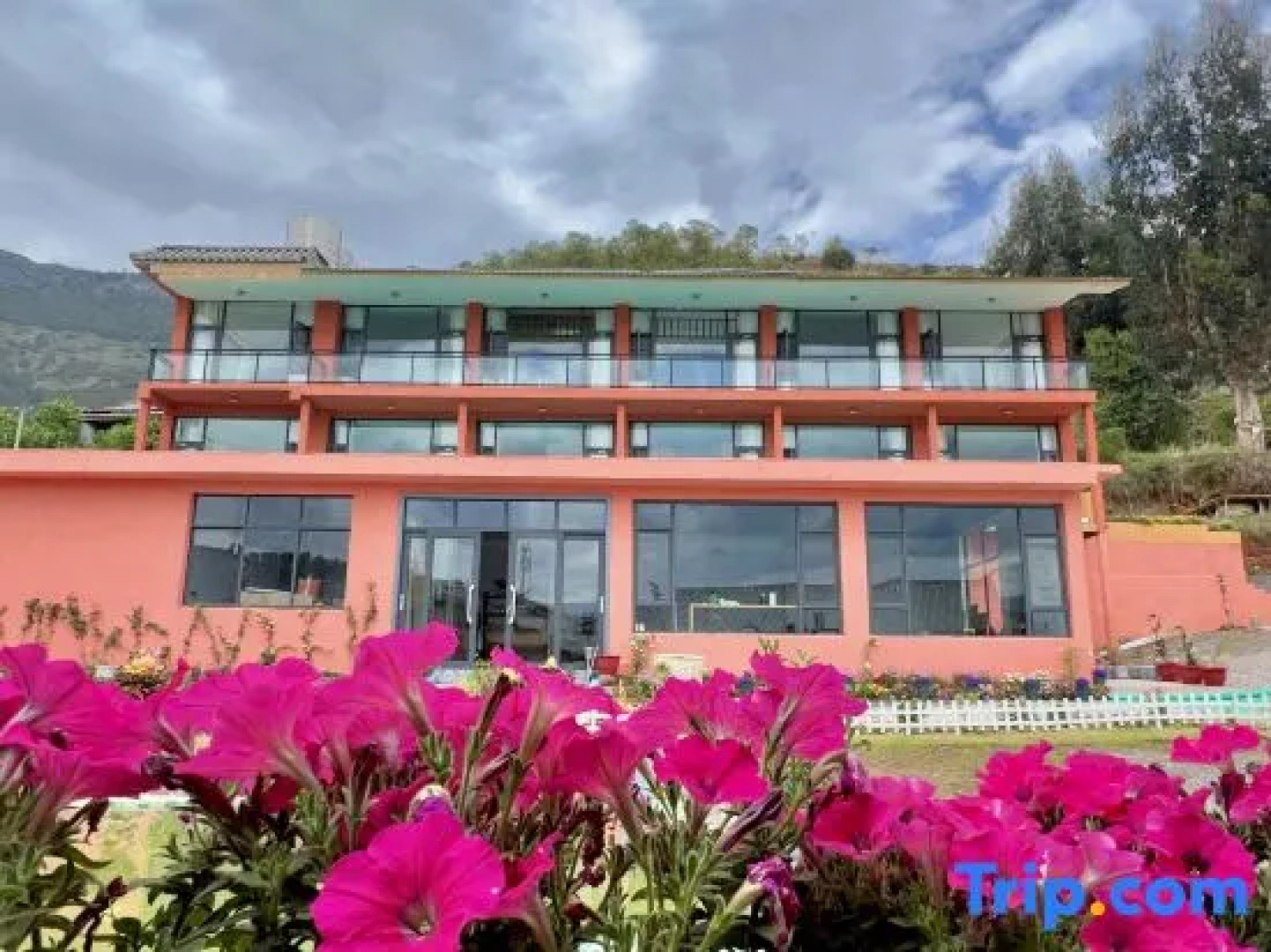 Lugu Lake Yunshang Flower Blossoms Half Mountain Lake View Resort