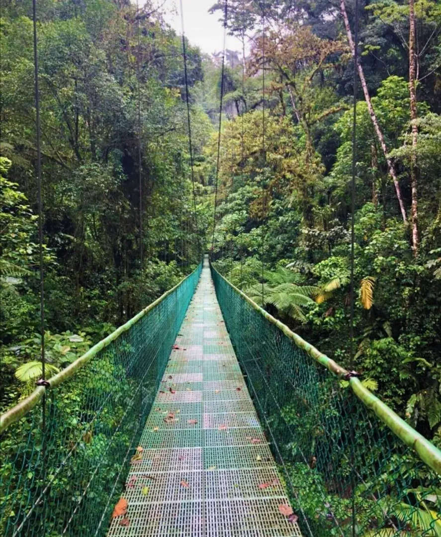 Lake Gardens Arenal Villas