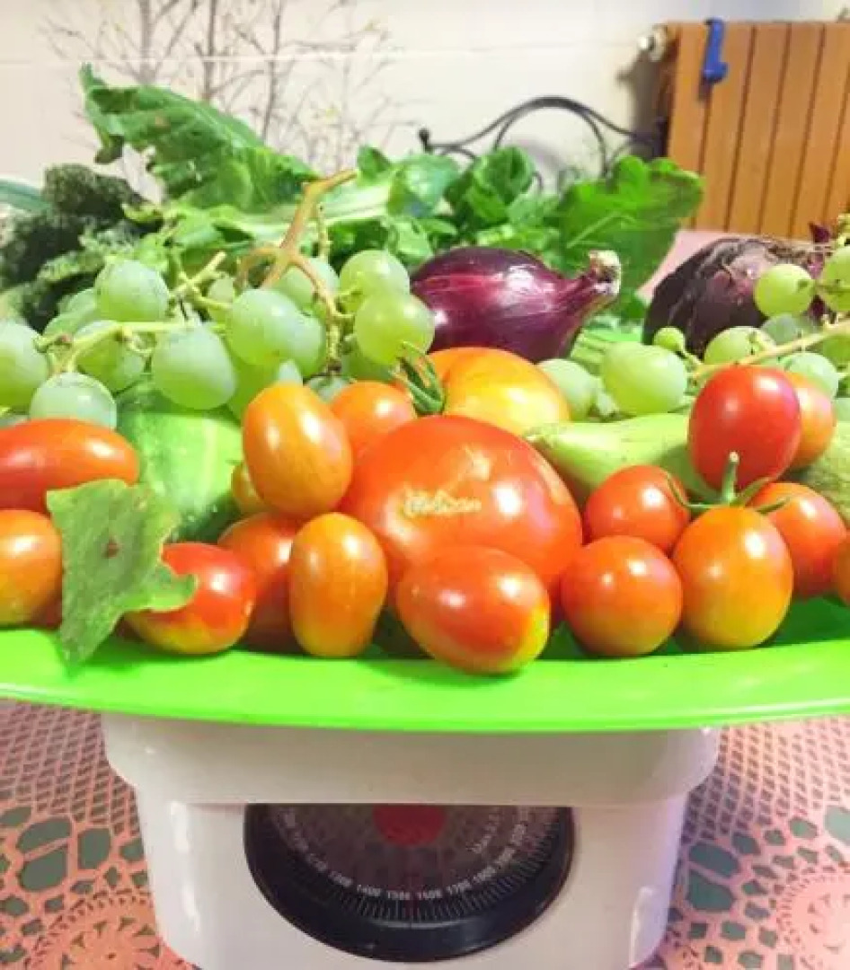 Eco Bed & Breakfast I Due Oleandri