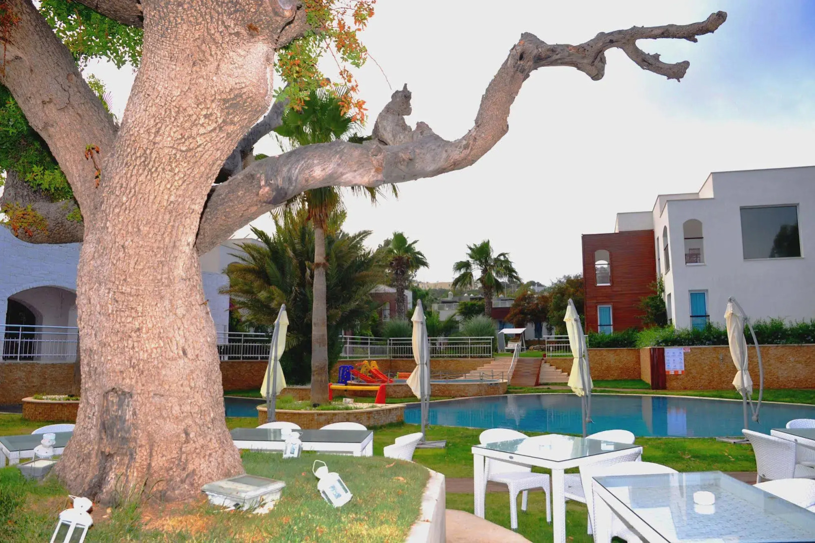 Отель Costa Luvi 