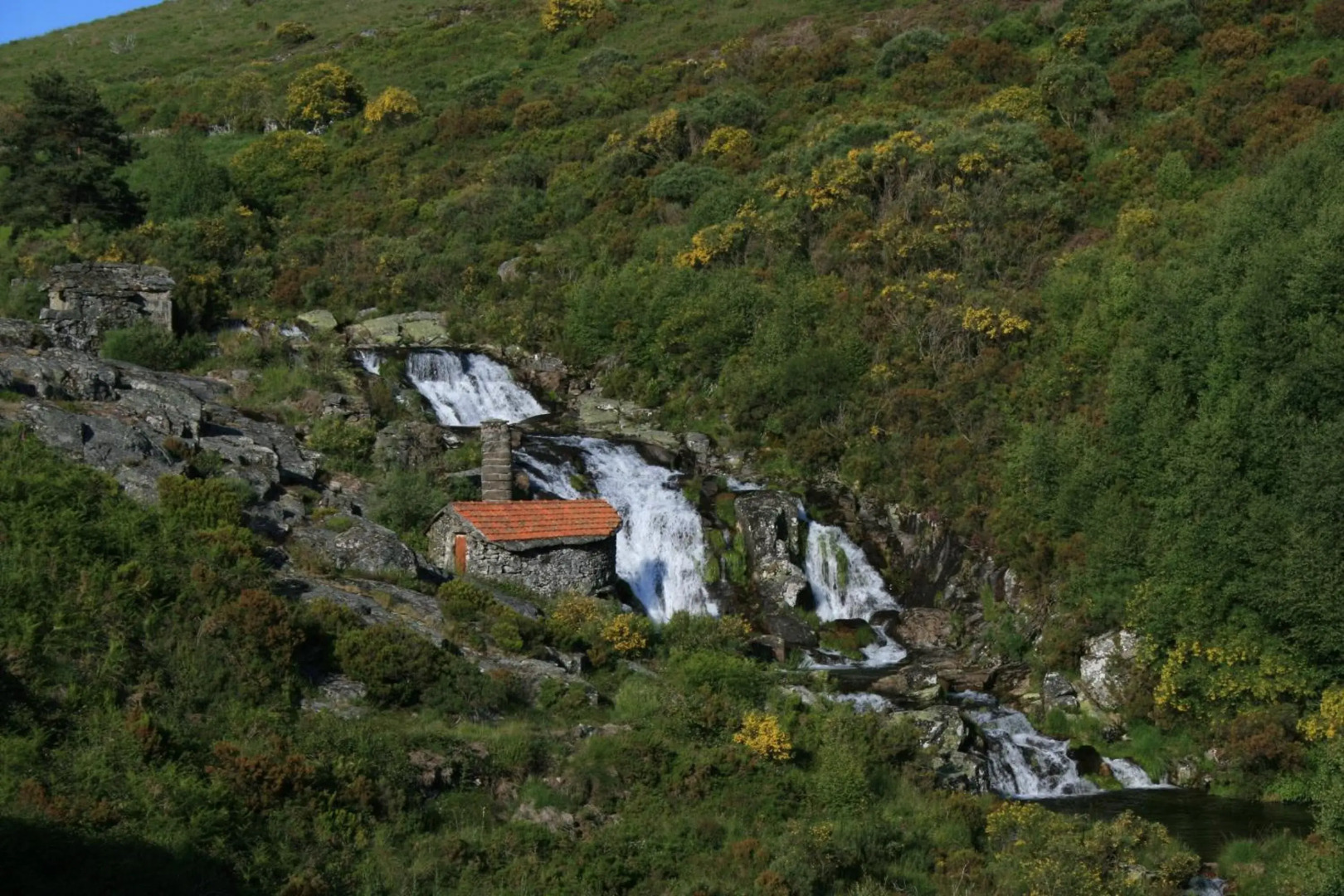 Miradouro Do Castelo