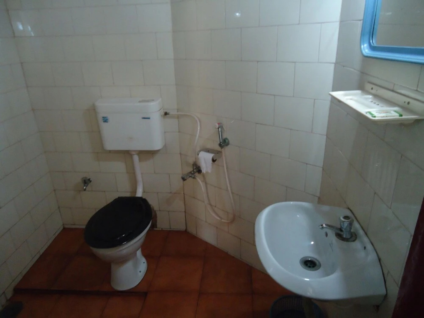 jüSTa Turtlebay on Sea