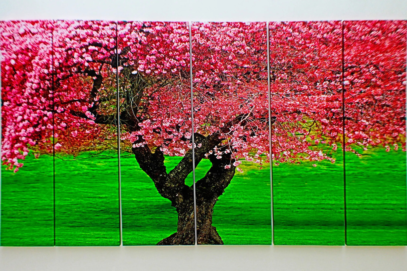 Hotel El Portón de San Joaquín