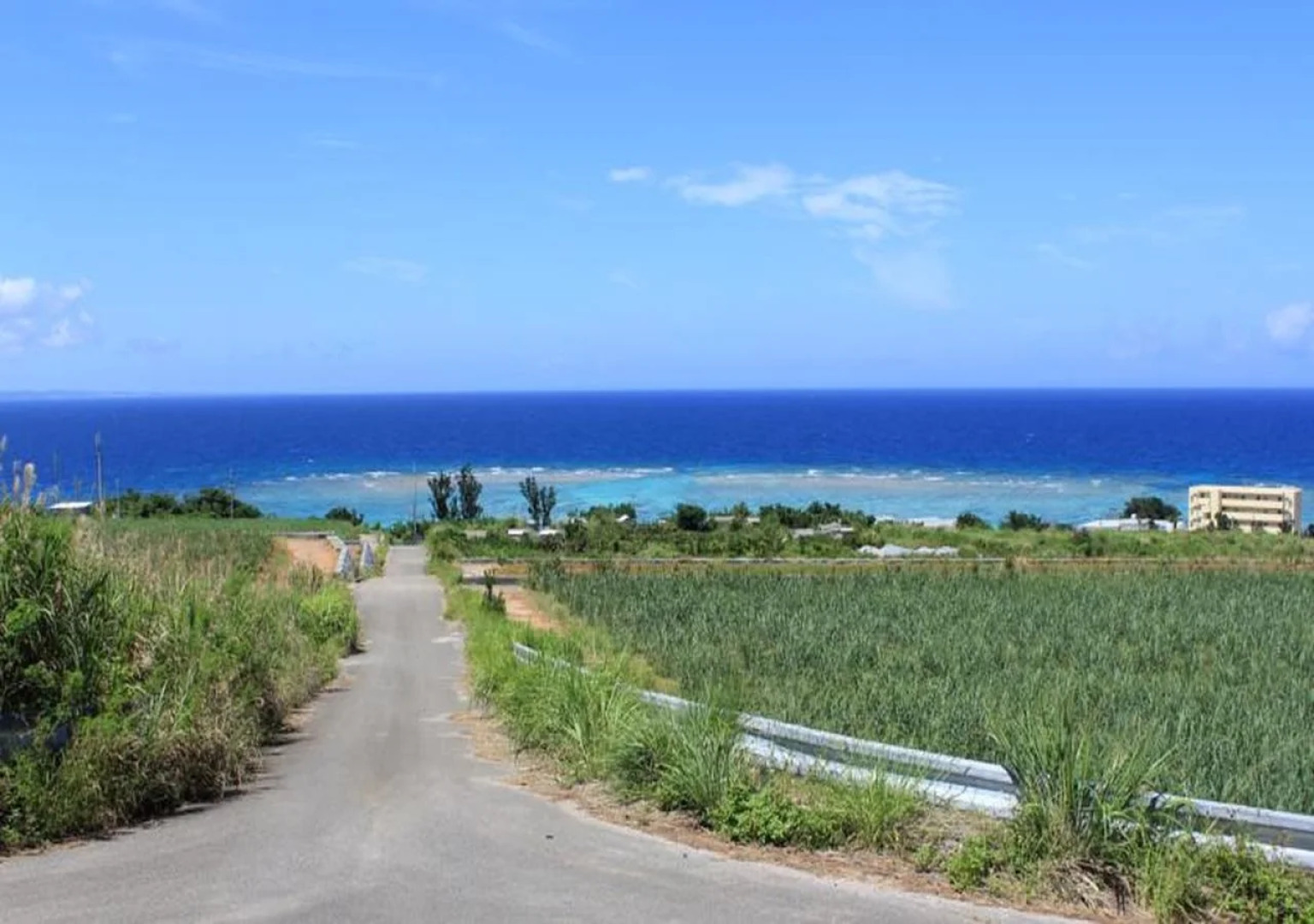 PANORAMA Ocean View Cottage