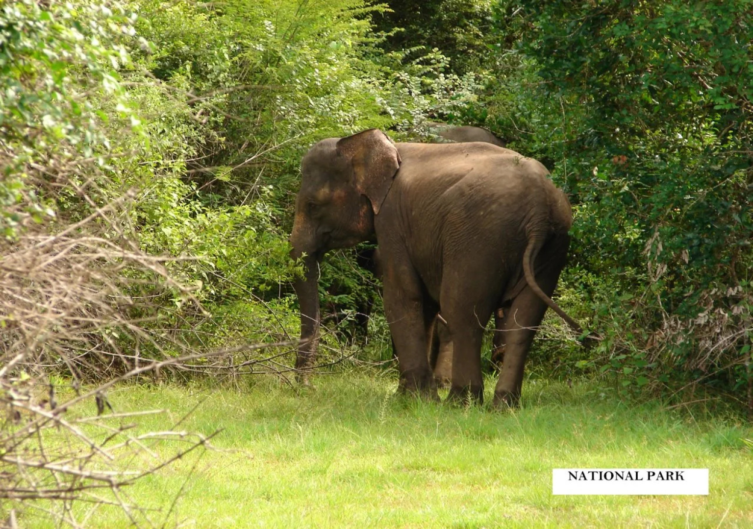 Safari Village Hotel