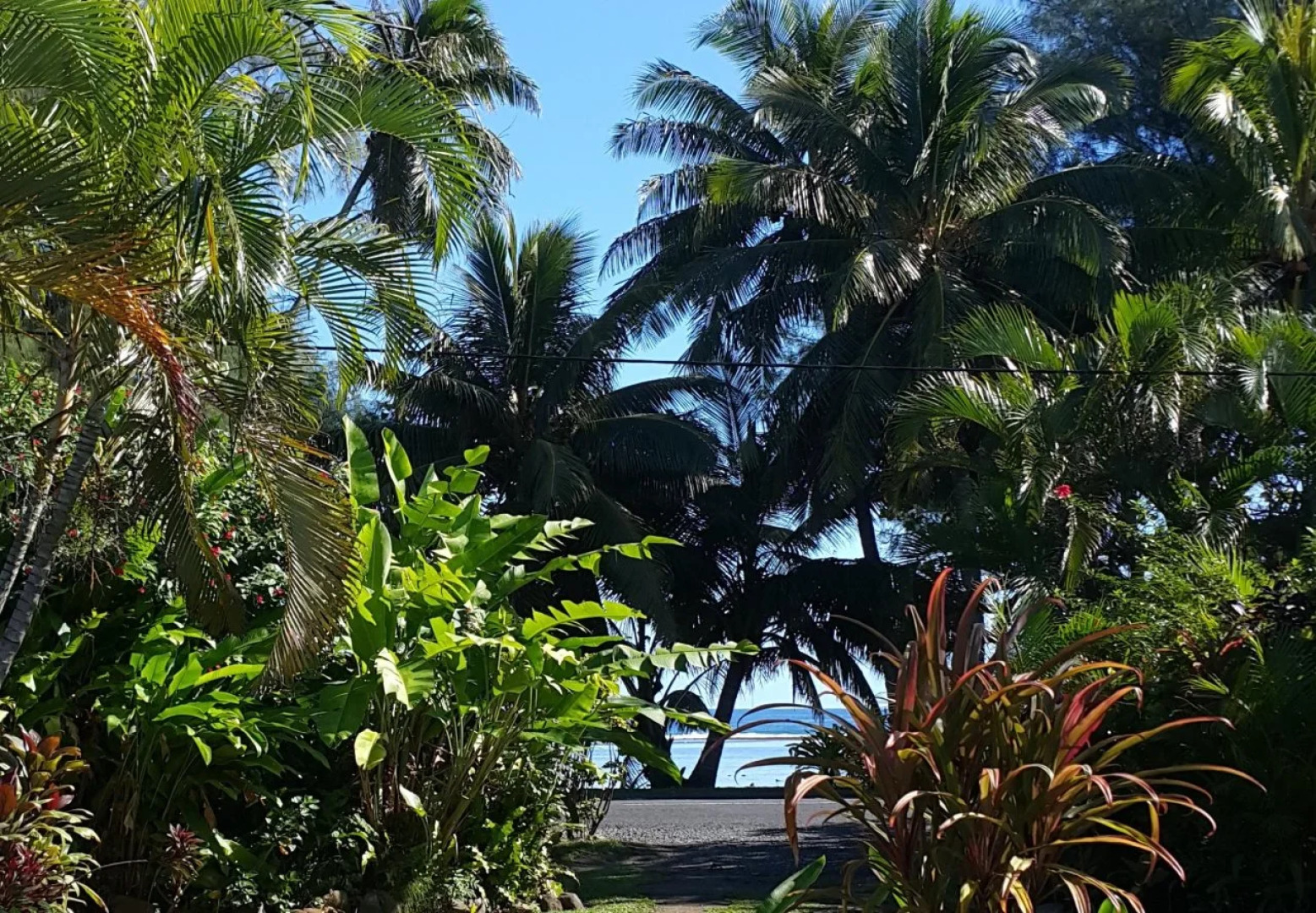 The Black Pearl Beach Side Apartments