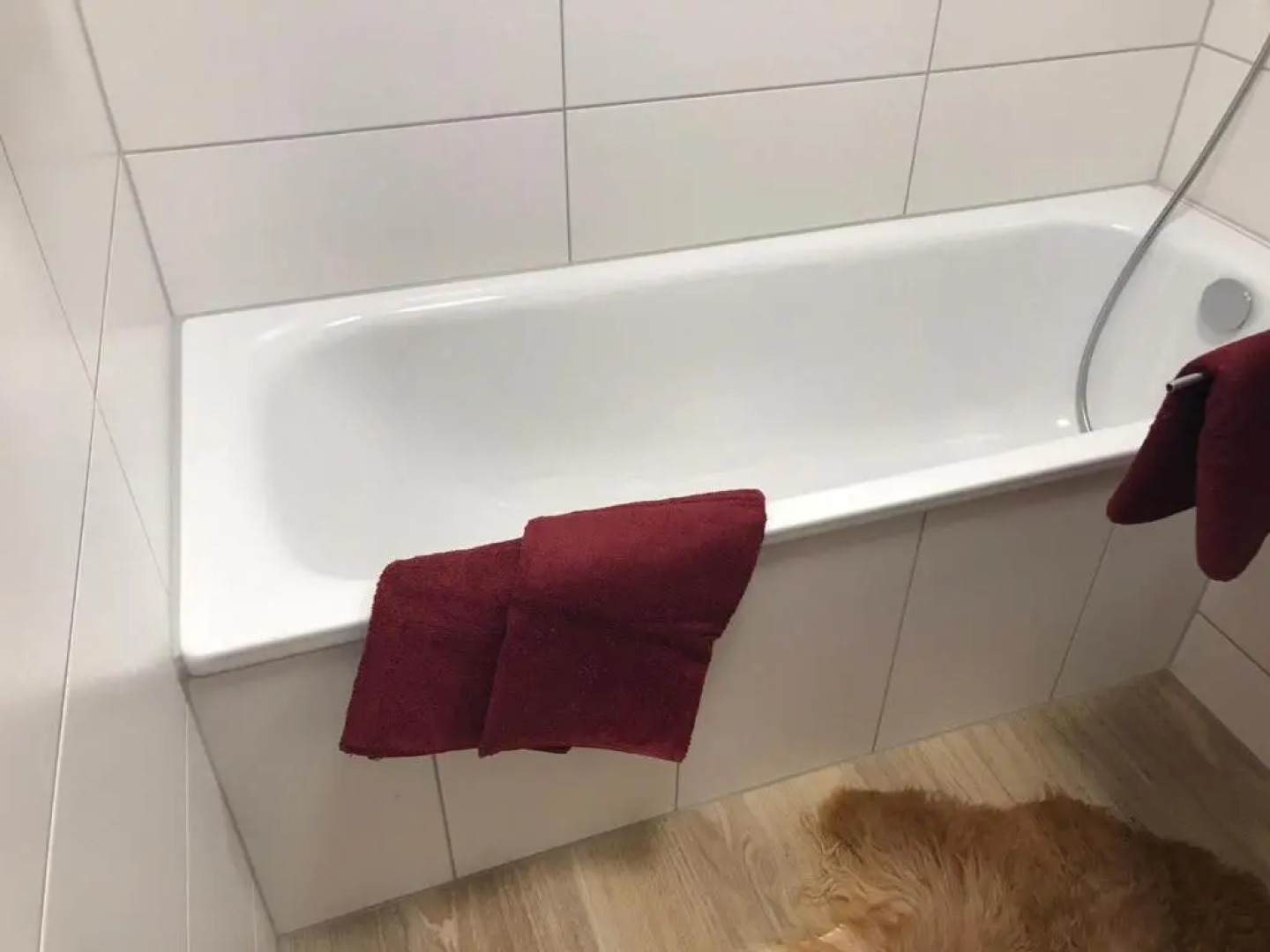 Alpendomizil Reber 2