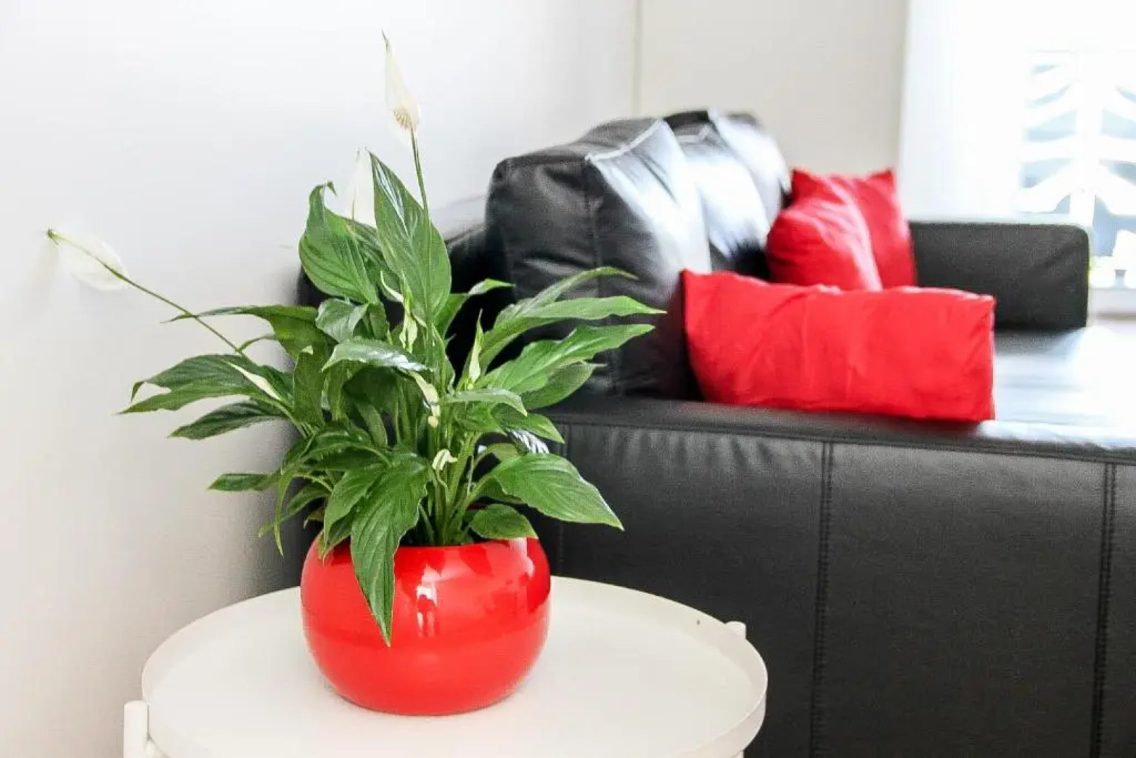 Grand T1 Moderne Jardin près de CDG