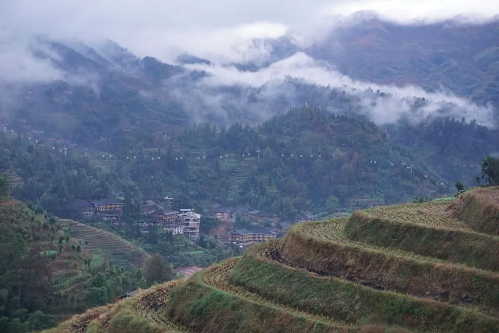 Longji Rice Terraces Green View Guest House