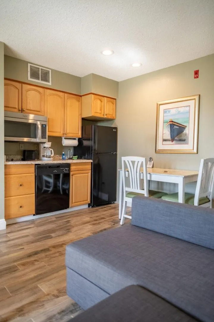 Palm Studio by Orlando Short Term