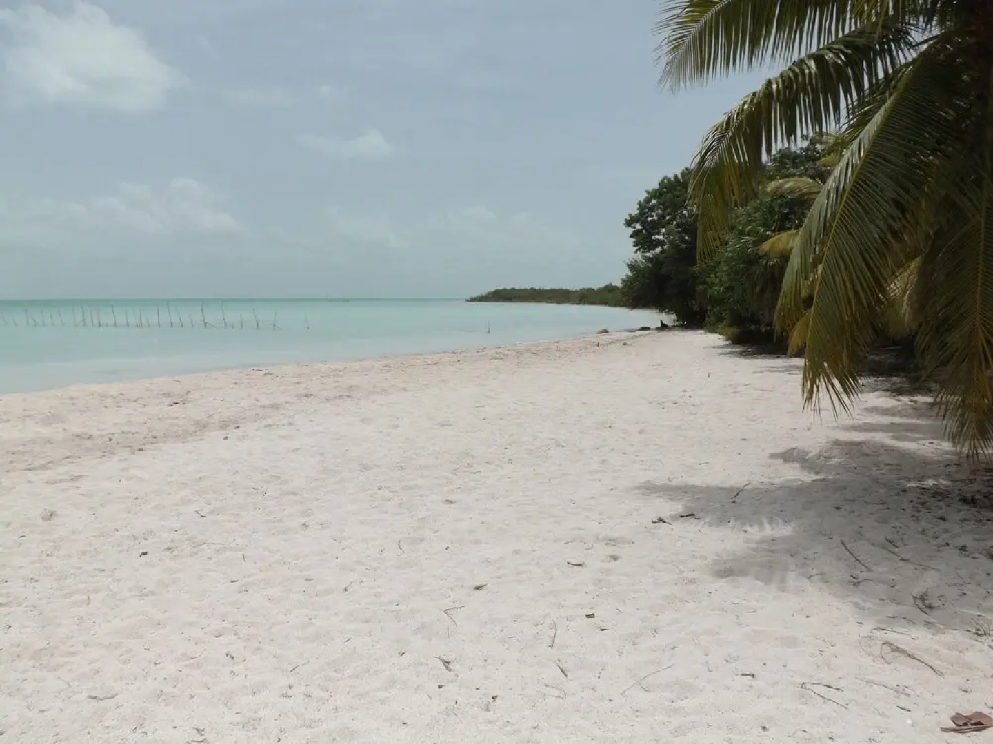 Fernando's Seaside Guest House