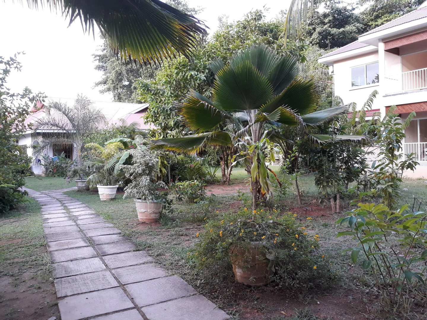 Villa Rafia Guesthouse