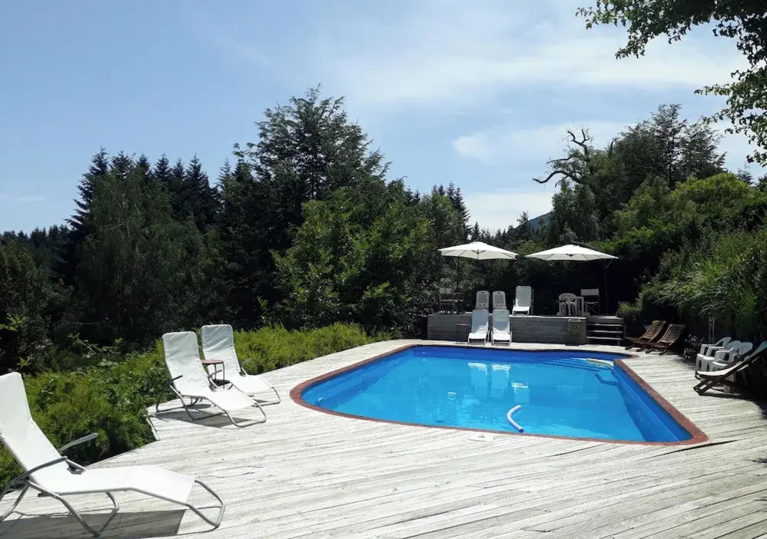 El Bosque by DOT Tradition