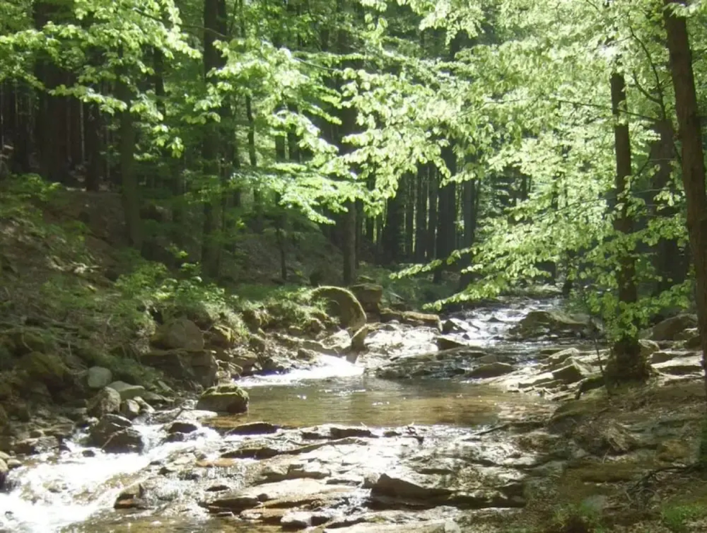 Carl-lambrecht-chalet No. 19