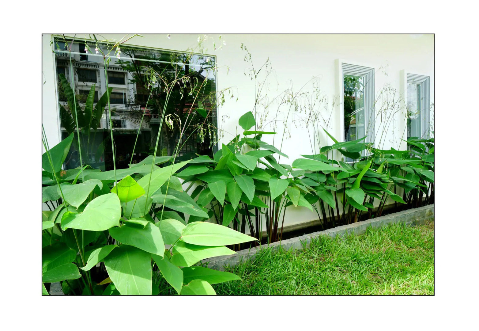 Paris Angkor Boutique