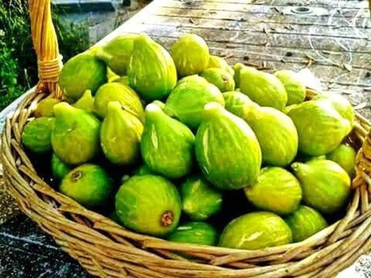 Villa with 3 bedrooms in Caccamo with private pool and WiFi