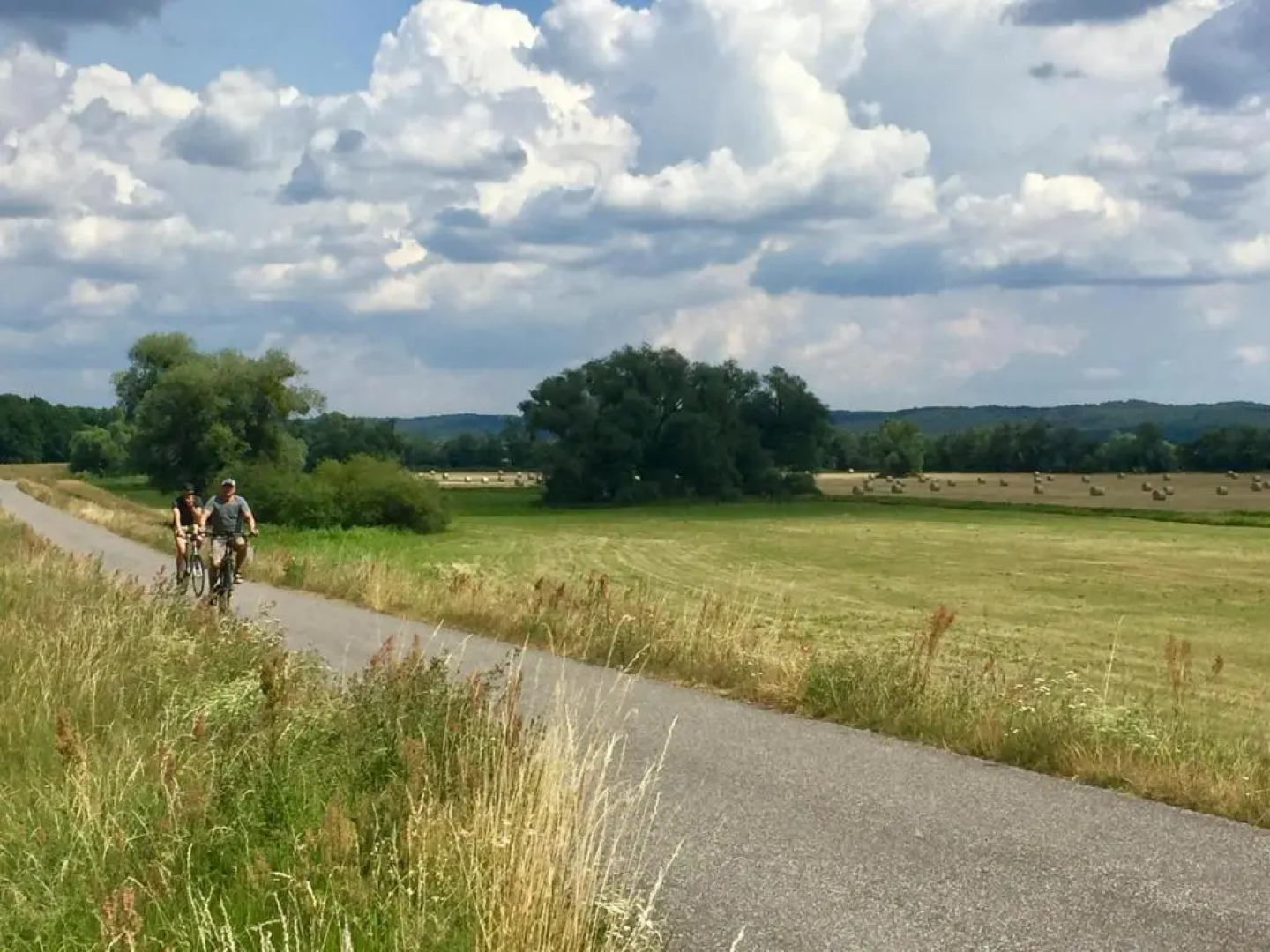 Apartments "Am Nationalpark"