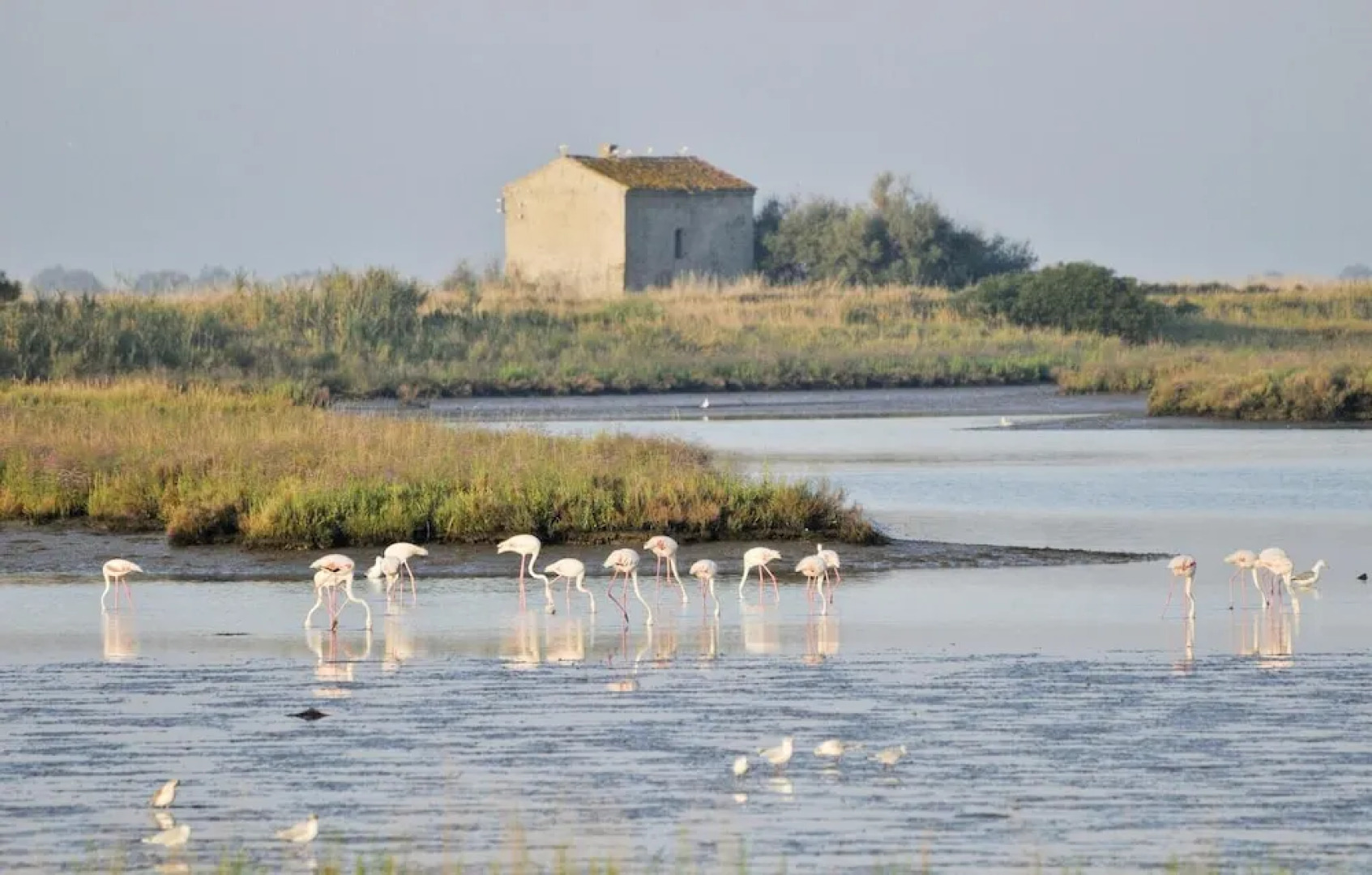 Stunning Home in Taglio di Po RO With 2 Bedrooms, Wifi and Outdoor Swimming Pool