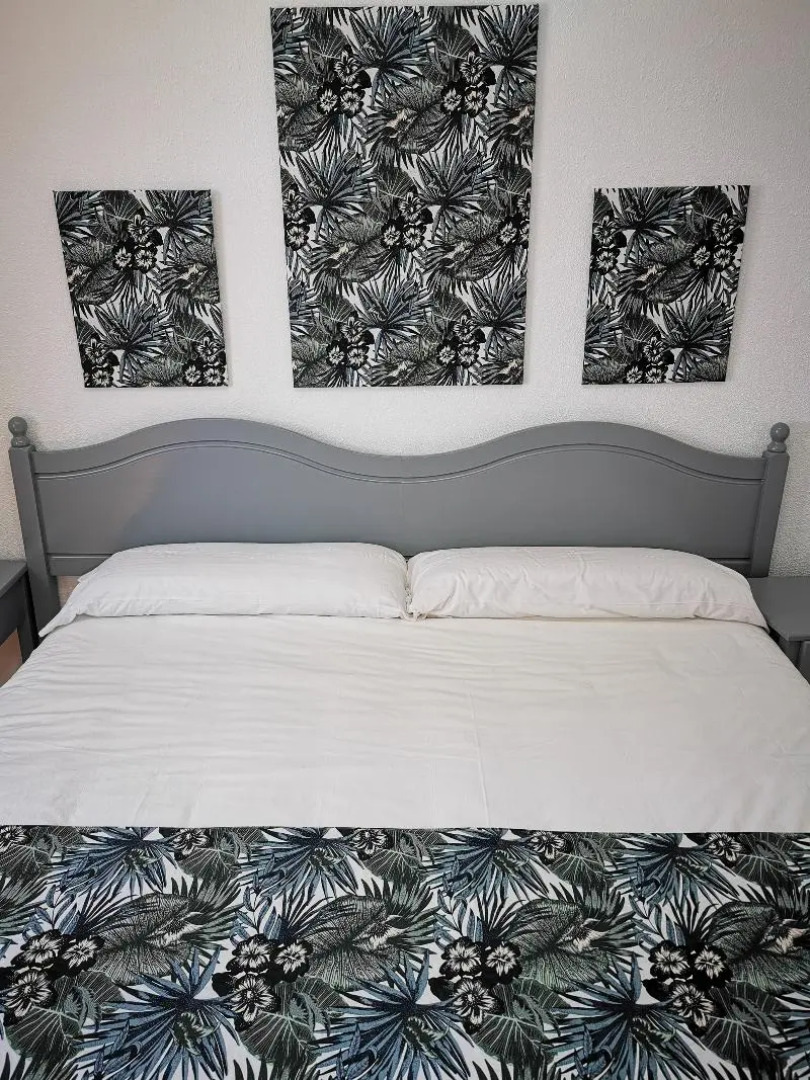 Apartamentos Oasis San Antonio