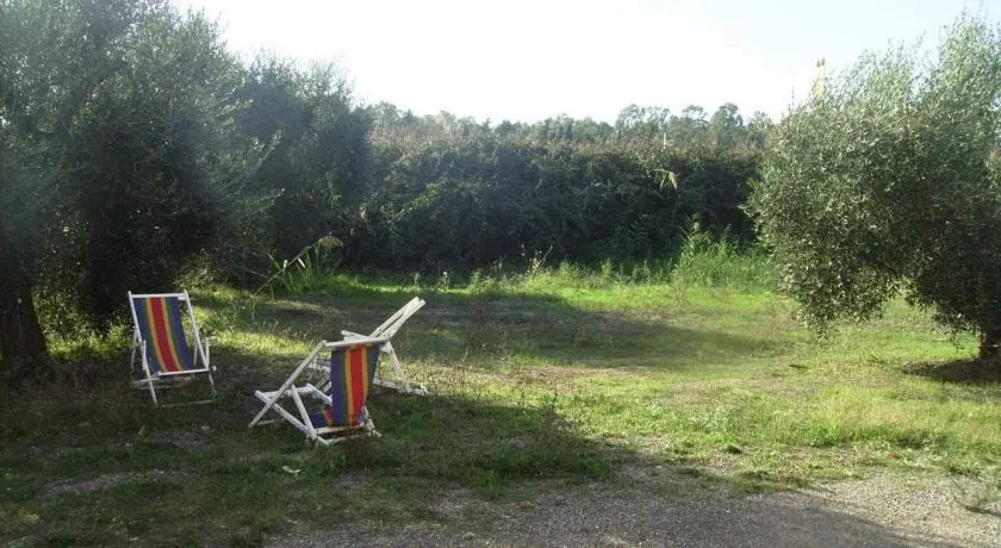 B&B Il Giglio di Mare