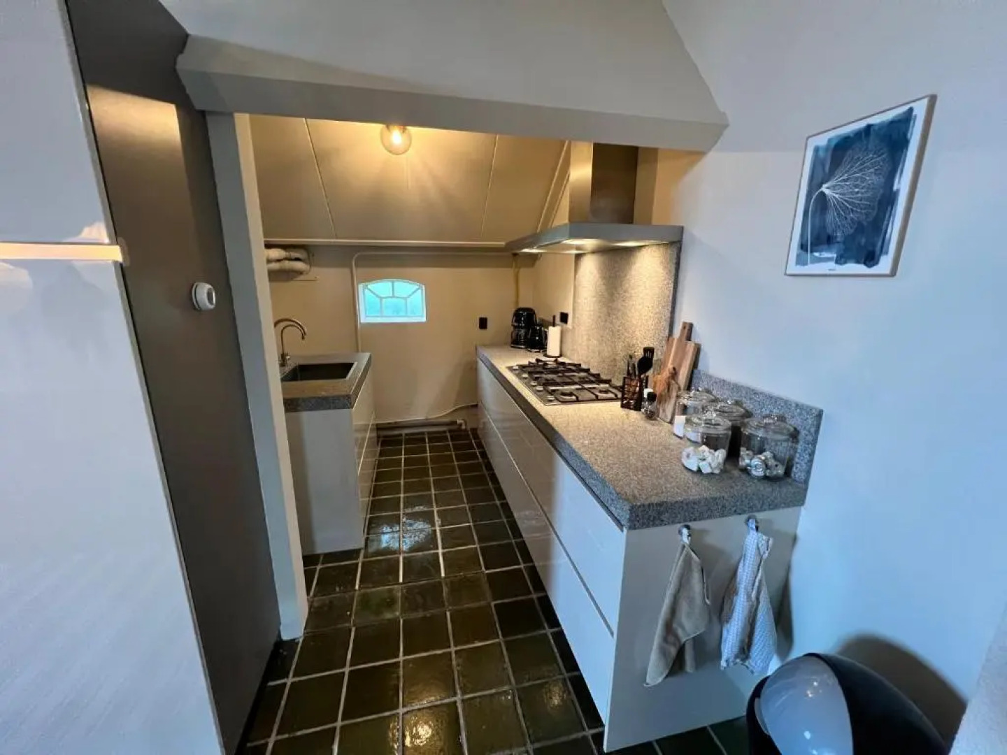 Het Wylde Pad - Let’s go Wylde!