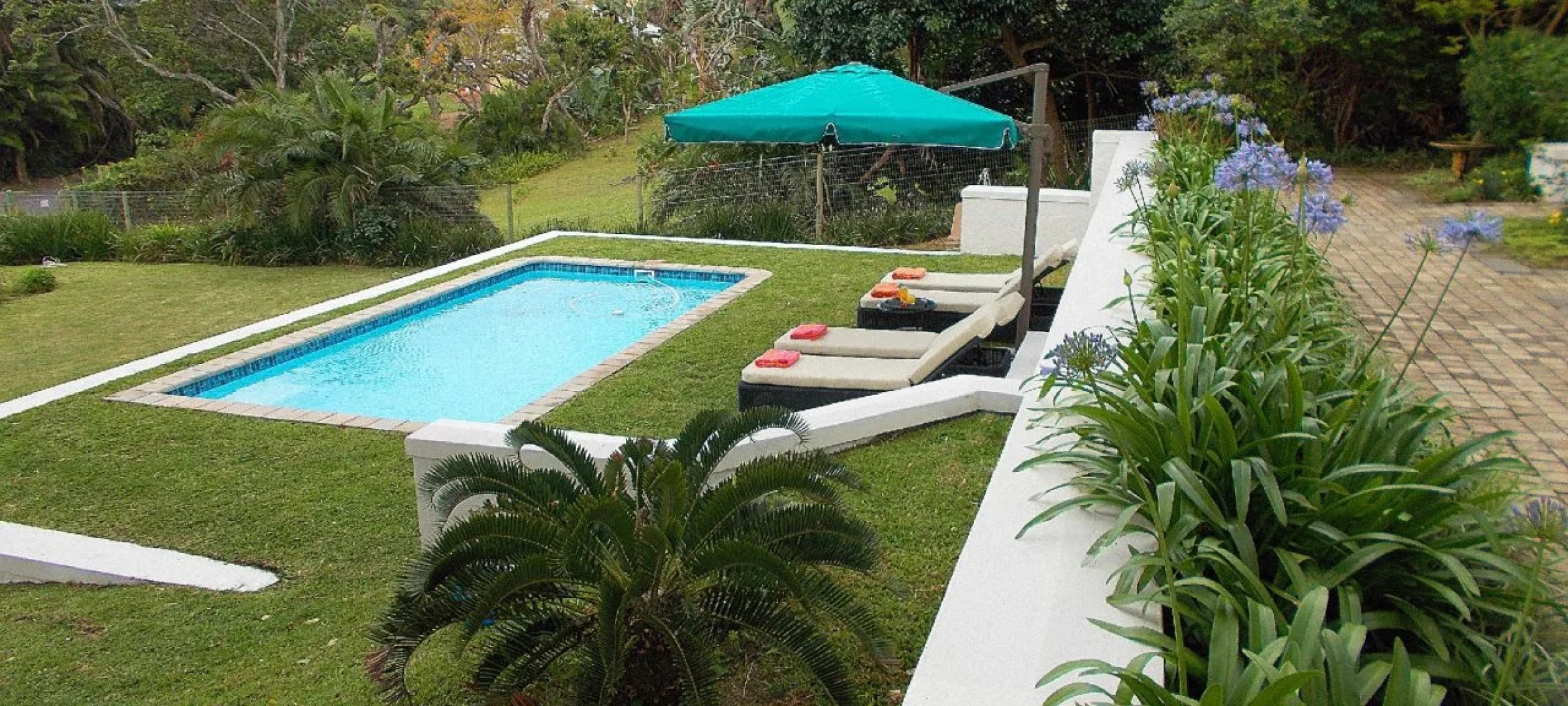 Coral Tree Colony Bed & Breakfast