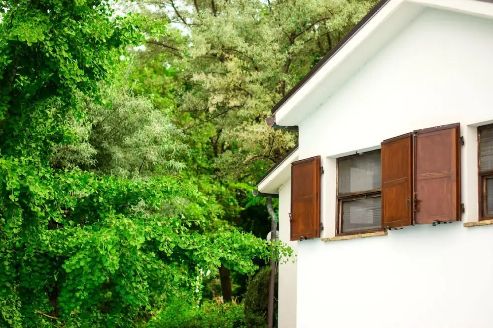 Studio in Castel Colonna, With Pool Access and Enclosed Garden