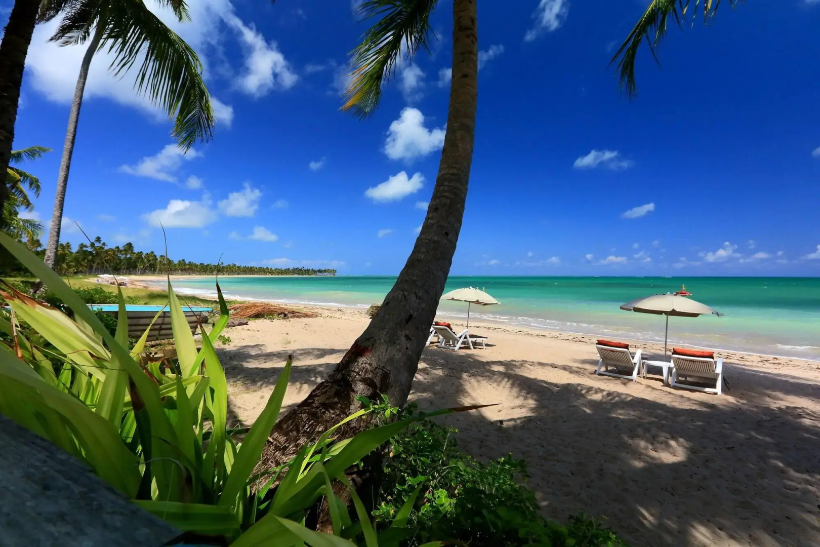 Pousada Rota Ecológica