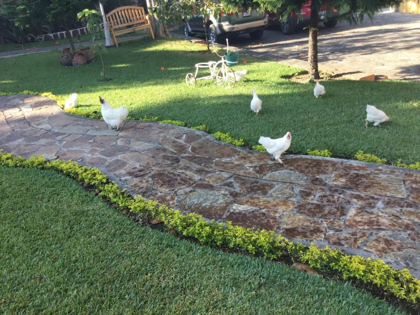 Hotel Vista Dorada Hacia Dios