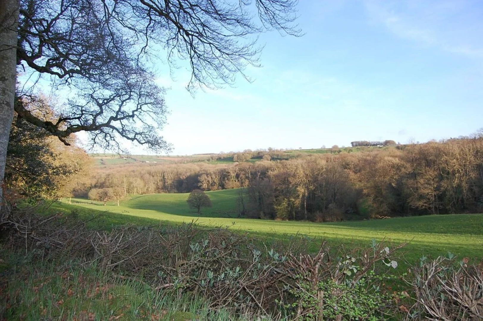 Allt y Rheini Mansion