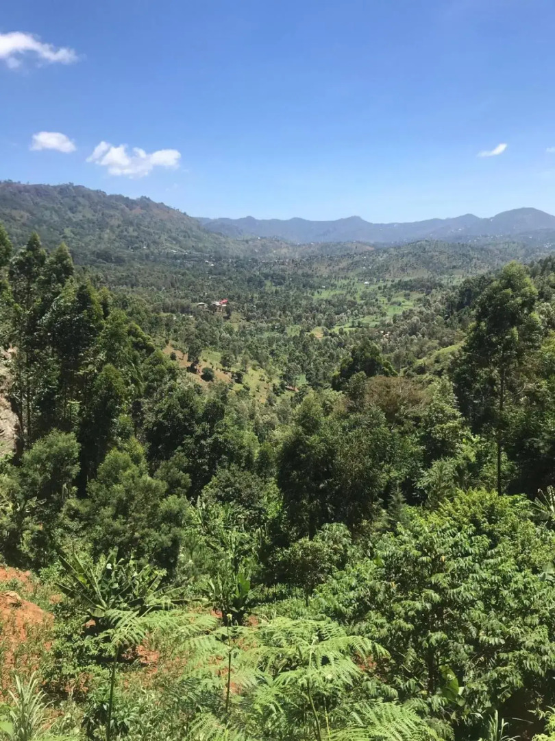 Two bedroom apartment, with balcony