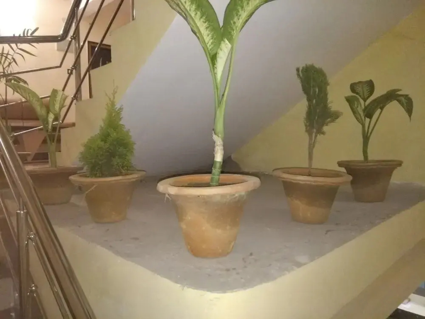 Hotel Zero Mile Rooms