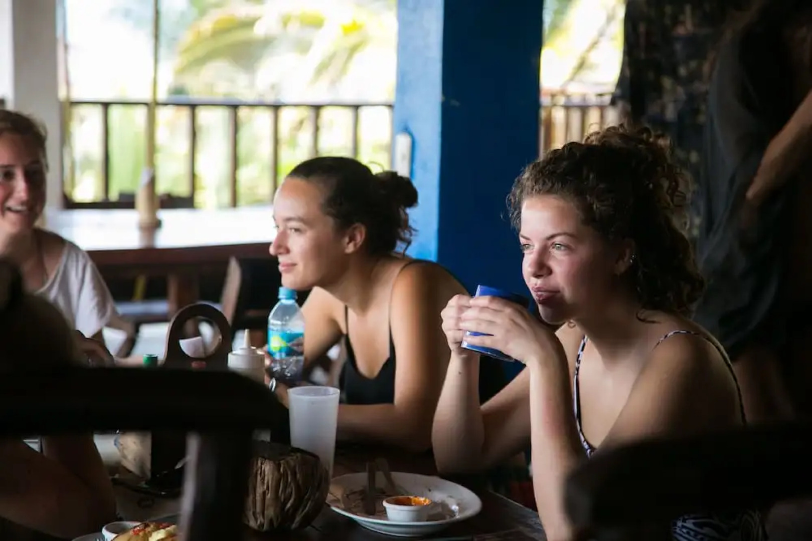 The Driftwood Surfer