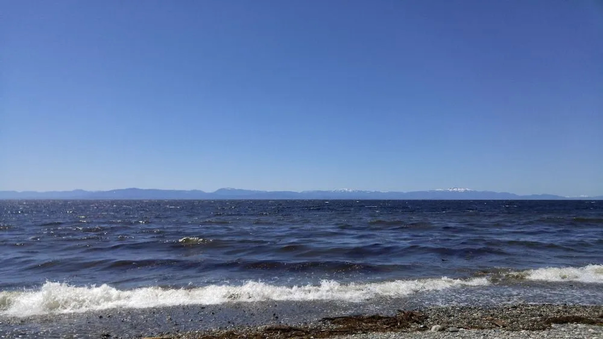 Sunshine Coast Treetop Wonderland