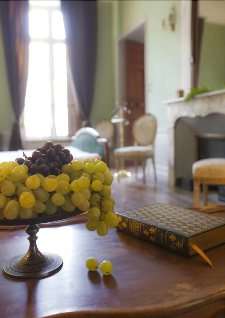 Hotel Coté Cour Chambres dhotes