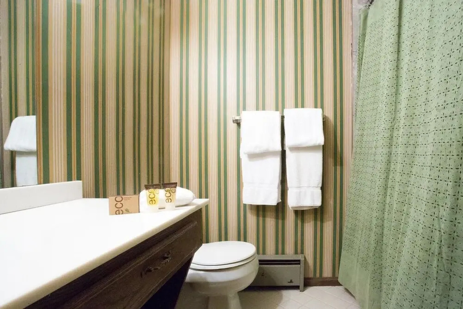 Smuggler Mine 6BR Home