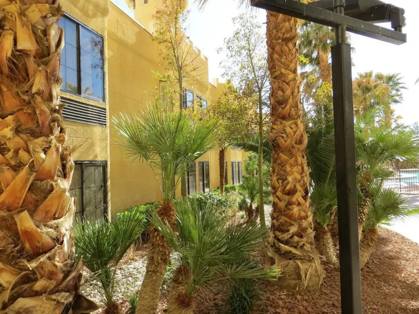 Whiskey Pete's Hotel & Casino