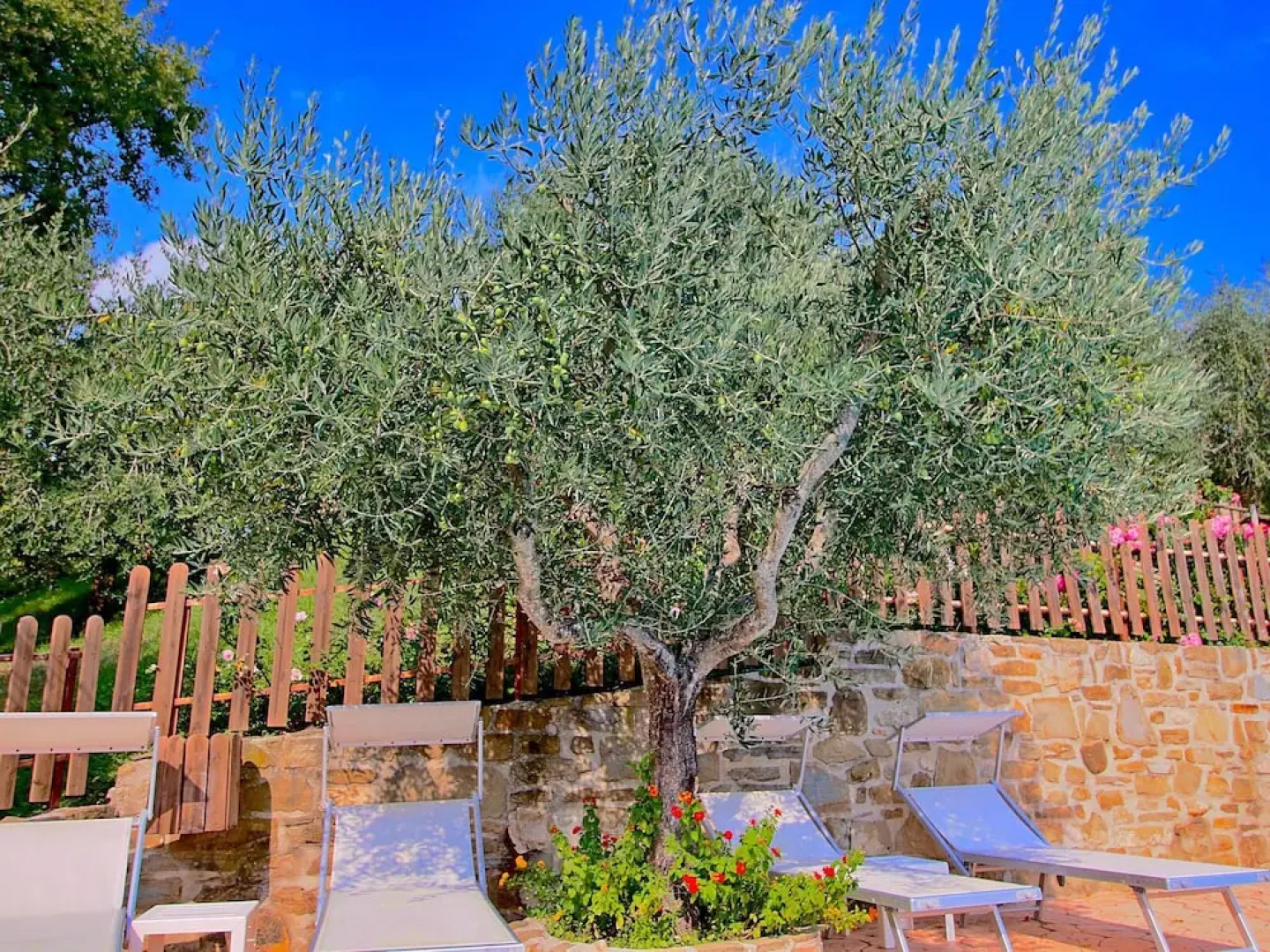 Spacious Farmhouse in Valfabbrica With Pool